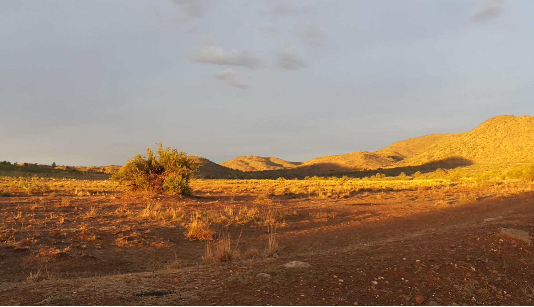 Landscape